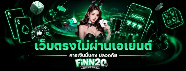 FINN20